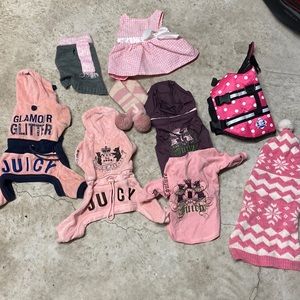 Lot of dog clothes.